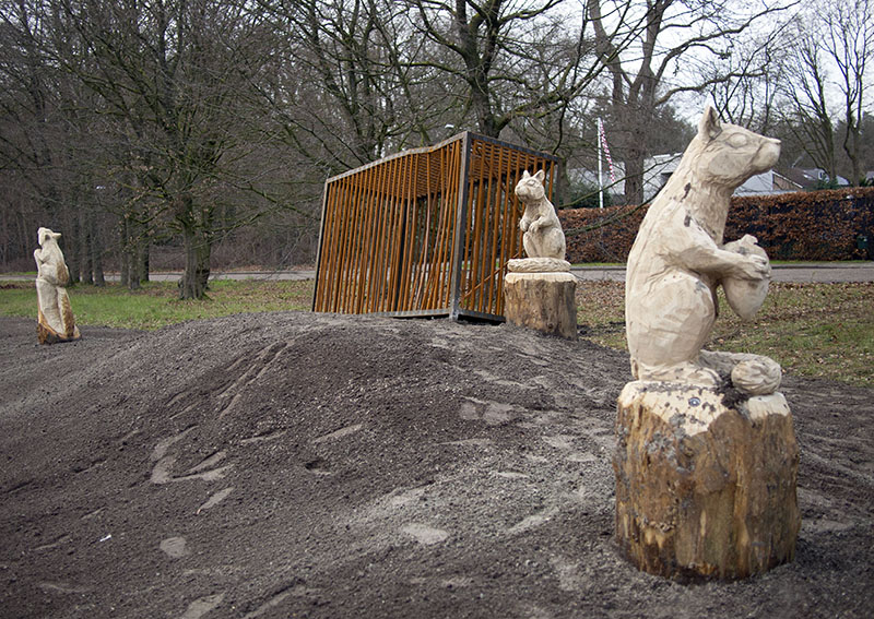 Siberische eekhoorns in achtertuin universiteit in vereeuwigd Univers