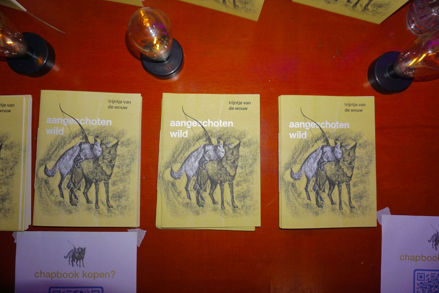 Oud-campusdichter Trijntje van de Wouw brengt chapbook uit